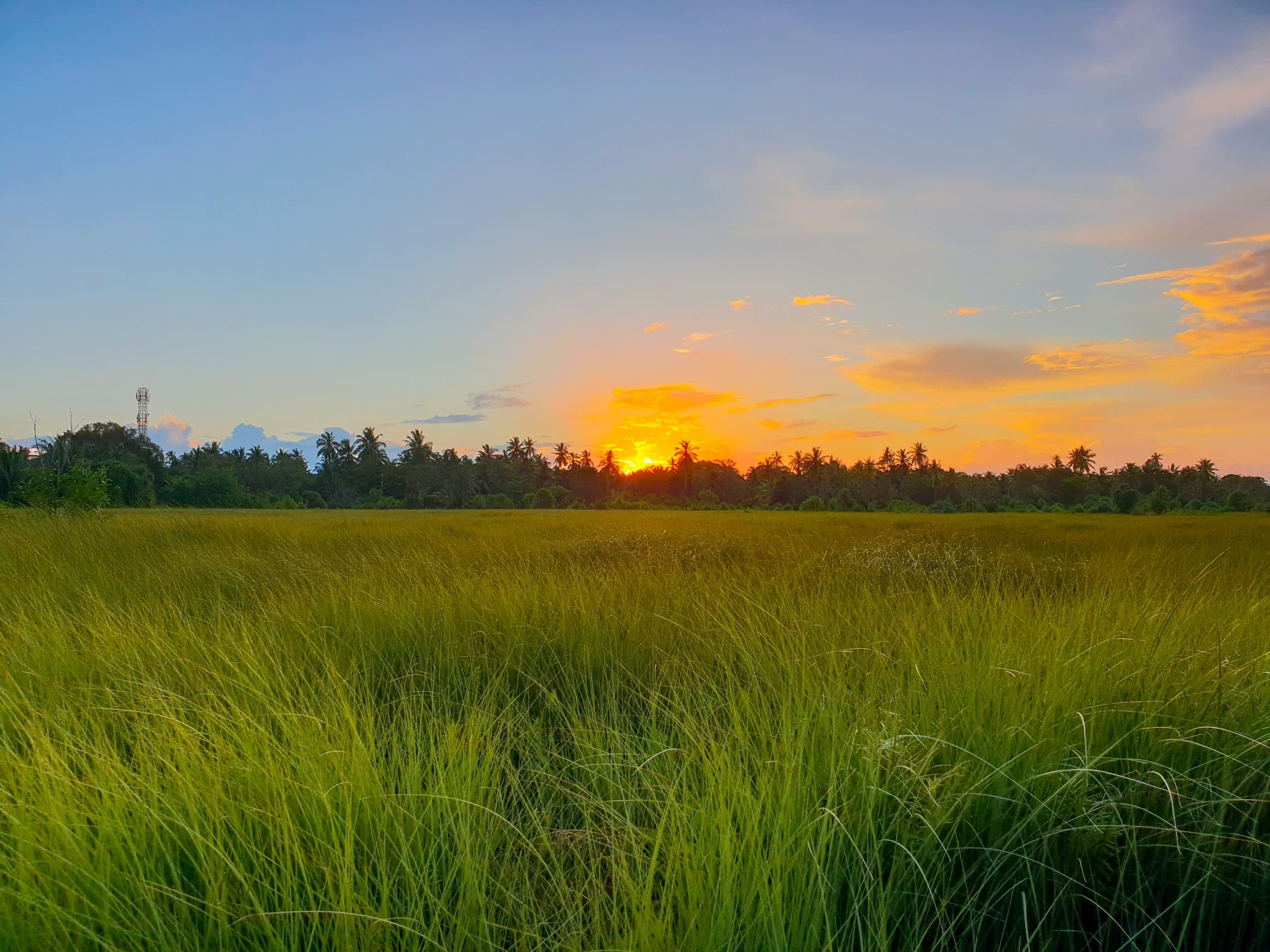 Freshwater lake surrounded by lush tropical vegetation in Fuvahmulah UNESCO Biosphere Reserve